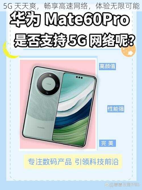 5G 天天爽，畅享高速网络，体验无限可能