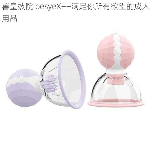 嘼皇妓院 besyeX——满足你所有欲望的成人用品