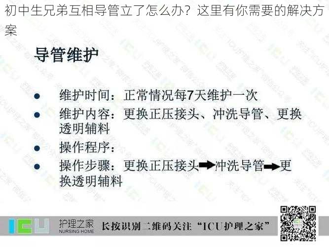 初中生兄弟互相导管立了怎么办？这里有你需要的解决方案