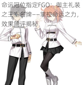 命运冠位指定FGO：御主礼装之王室名牌——掌控命运之力，效果简评揭秘