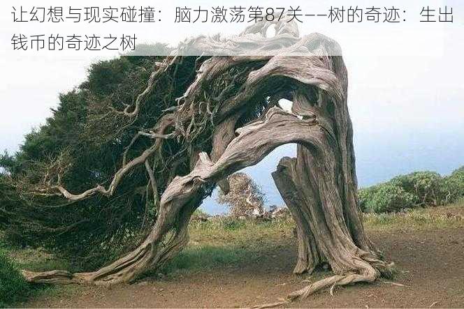 让幻想与现实碰撞：脑力激荡第87关——树的奇迹：生出钱币的奇迹之树