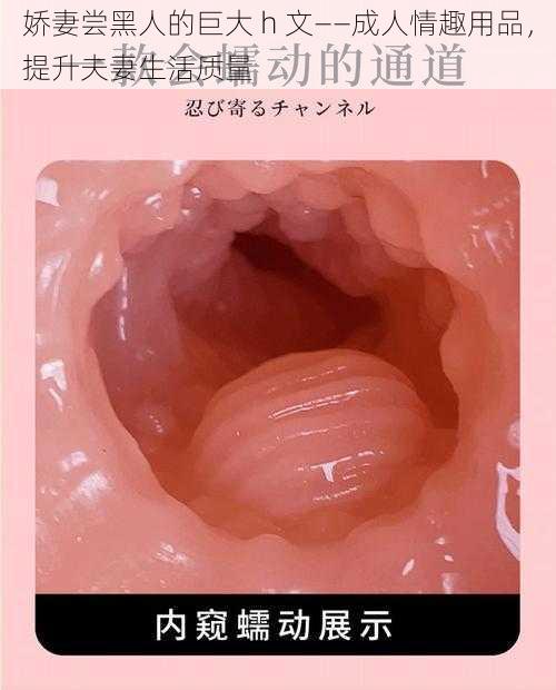 娇妻尝黑人的巨大 h 文——成人情趣用品，提升夫妻生活质量