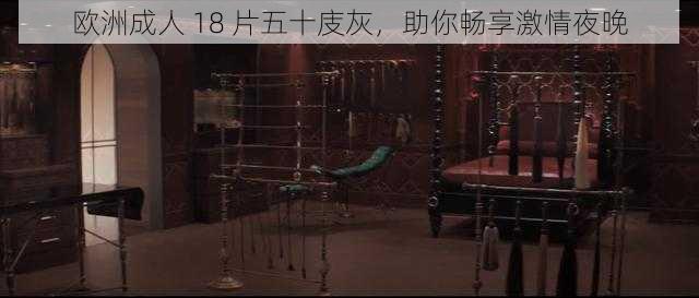 欧洲成人 18 片五十庋灰，助你畅享激情夜晚