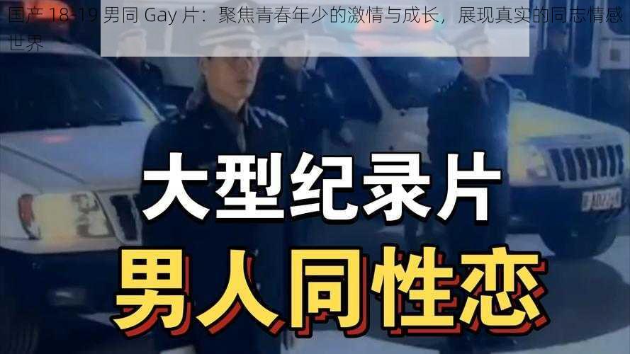 国产 18-19 男同 Gay 片：聚焦青春年少的激情与成长，展现真实的同志情感世界