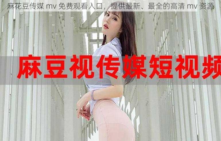 麻花豆传媒 mv 免费观看入口，提供最新、最全的高清 mv 资源