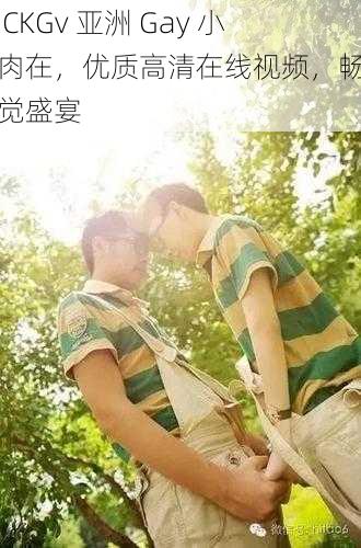 FUCKGv 亚洲 Gay 小鲜肉在，优质高清在线视频，畅享视觉盛宴