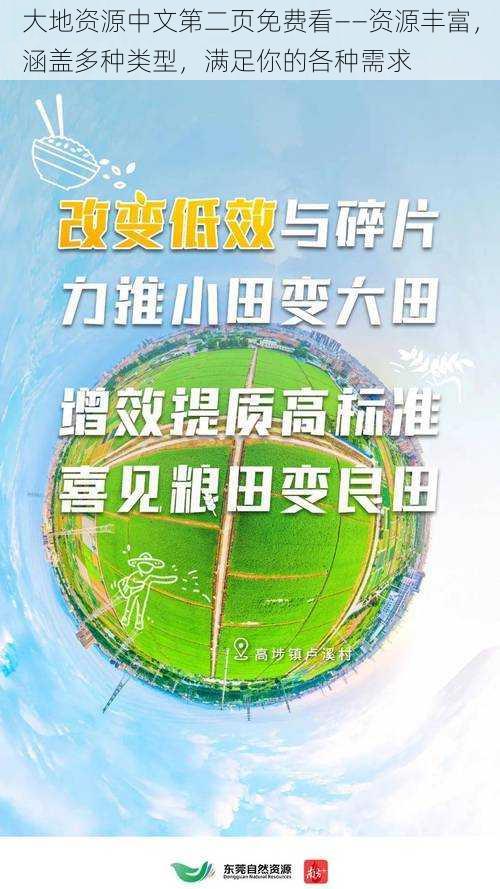 大地资源中文第二页免费看——资源丰富，涵盖多种类型，满足你的各种需求