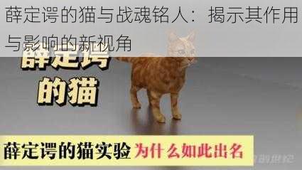 薛定谔的猫与战魂铭人：揭示其作用与影响的新视角