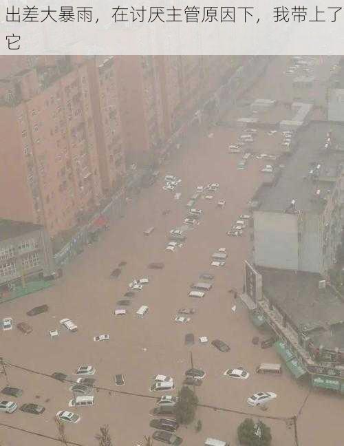 出差大暴雨，在讨厌主管原因下，我带上了它