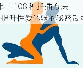 床上 108 种扦插方法 - 提升性爱体验的秘密武器