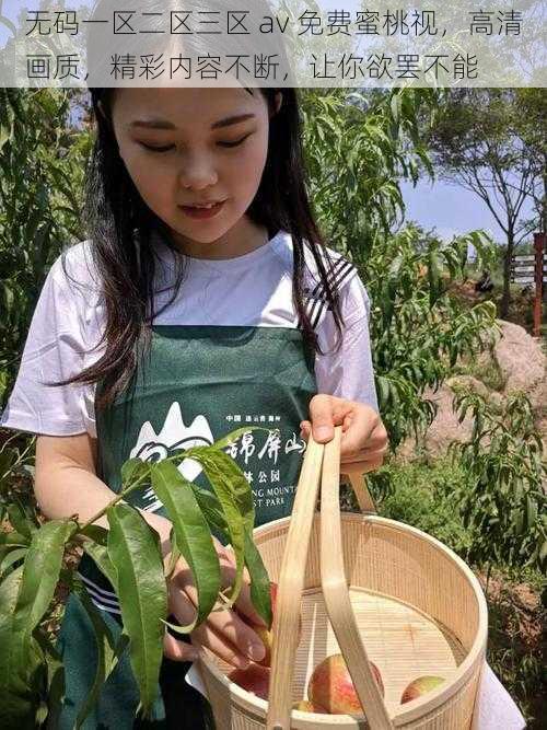 无码一区二区三区 av 免费蜜桃视，高清画质，精彩内容不断，让你欲罢不能