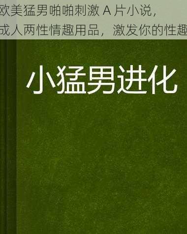 欧美猛男啪啪刺激 A 片小说，成人两性情趣用品，激发你的性趣