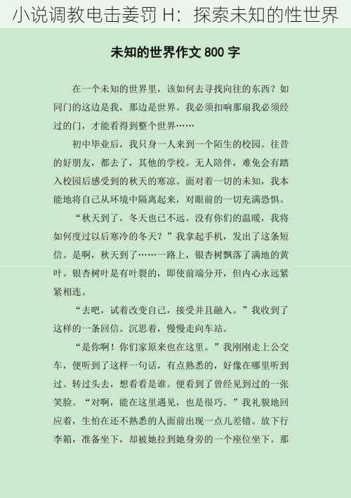 小说调教电击姜罚 H：探索未知的性世界