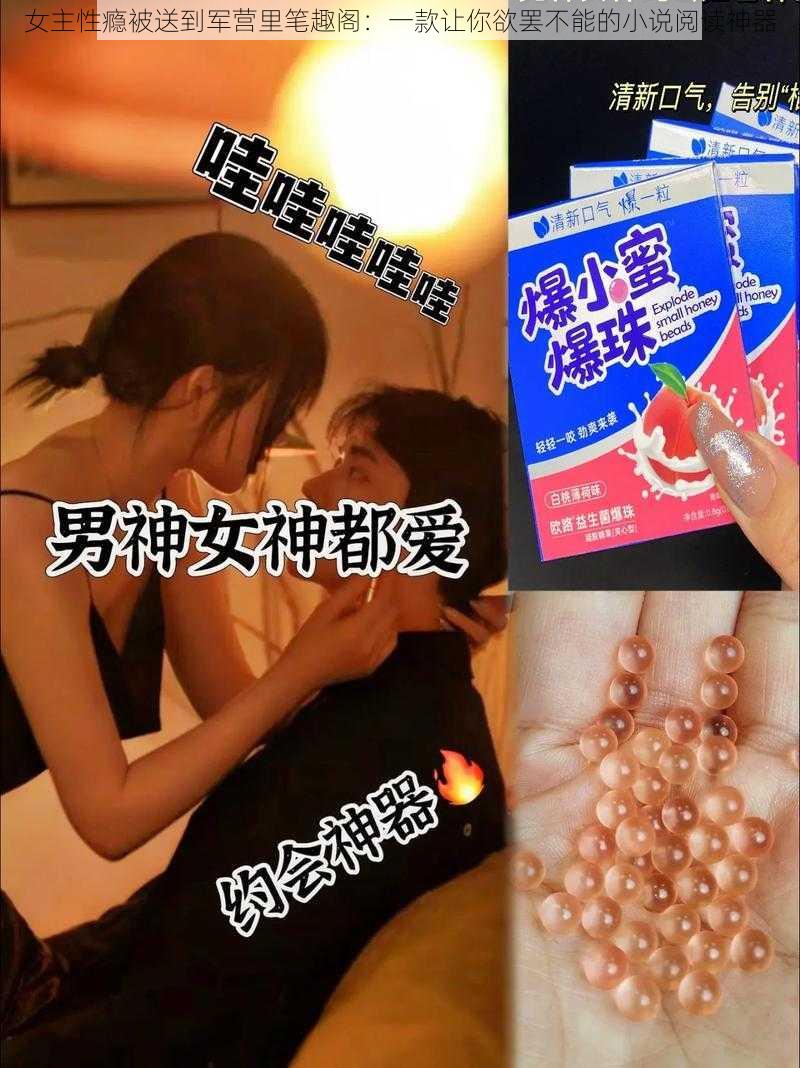 女主性瘾被送到军营里笔趣阁：一款让你欲罢不能的小说阅读神器