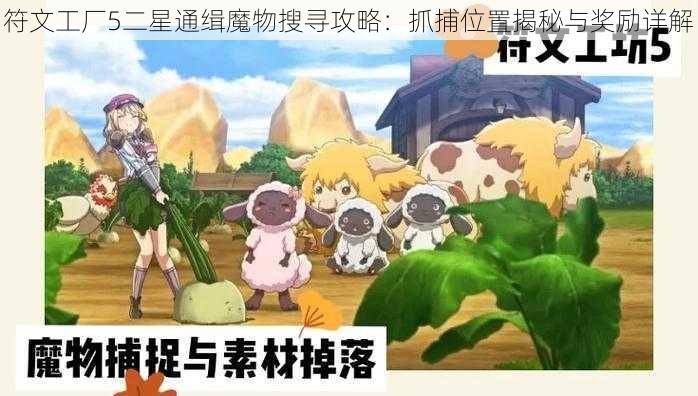 符文工厂5二星通缉魔物搜寻攻略：抓捕位置揭秘与奖励详解