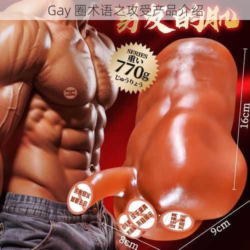 Gay 圈术语之攻受产品介绍