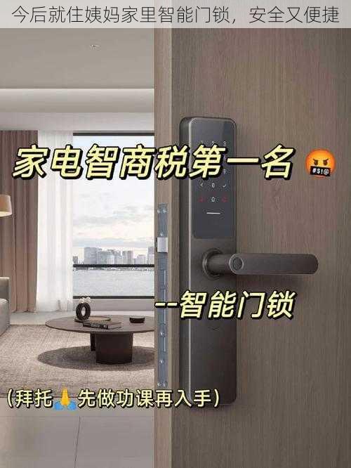 今后就住姨妈家里智能门锁，安全又便捷