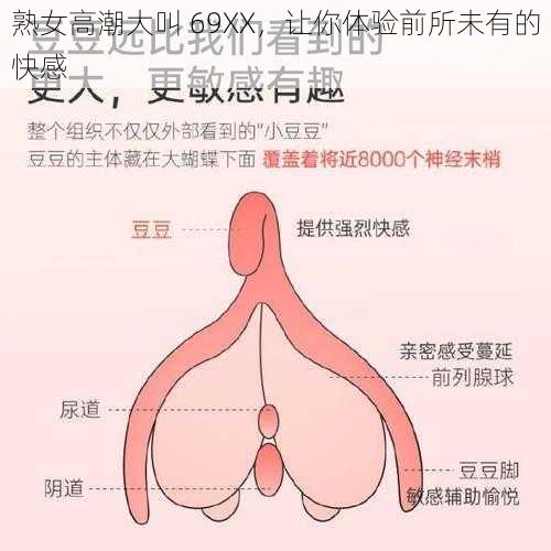 熟女高潮大叫 69XX，让你体验前所未有的快感