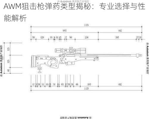 AWM狙击枪弹药类型揭秘：专业选择与性能解析