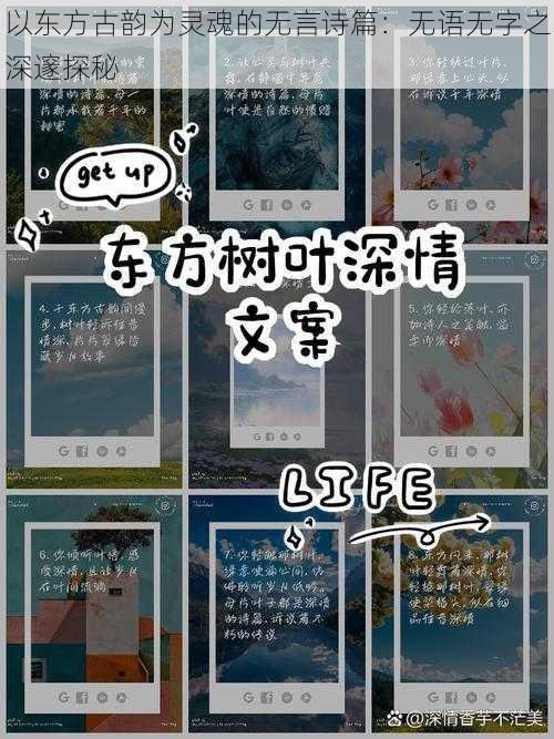 以东方古韵为灵魂的无言诗篇：无语无字之深邃探秘