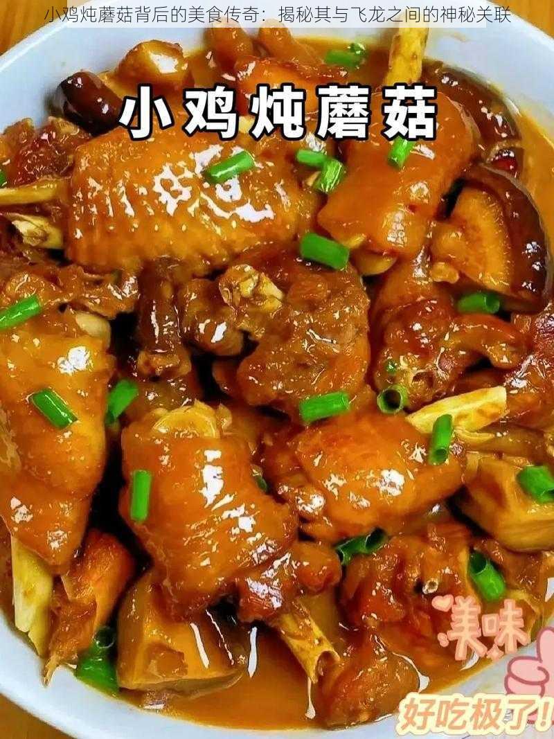 小鸡炖蘑菇背后的美食传奇：揭秘其与飞龙之间的神秘关联