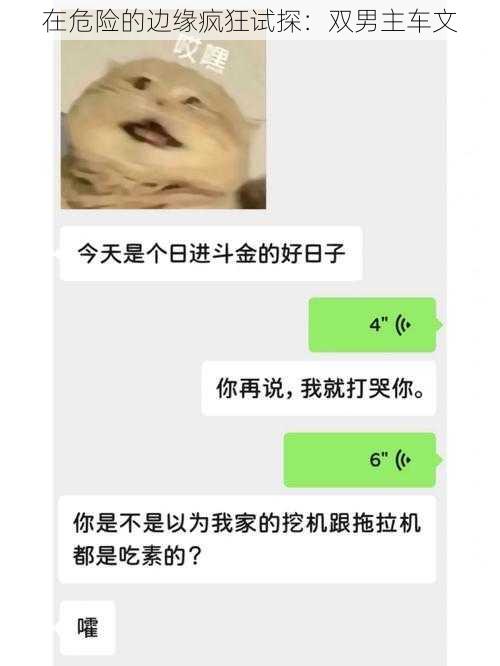 在危险的边缘疯狂试探：双男主车文