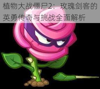 植物大战僵尸2：玫瑰剑客的英勇传奇与挑战全面解析