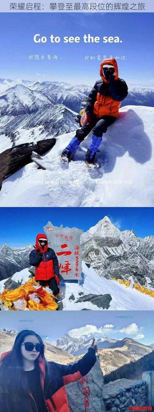 荣耀启程：攀登至最高段位的辉煌之旅