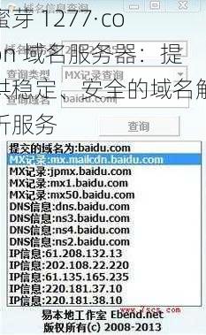 蜜芽 1277·coon 域名服务器：提供稳定、安全的域名解析服务
