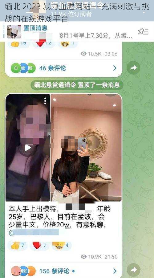 缅北 2023 暴力血腥网站——充满刺激与挑战的在线游戏平台