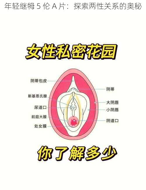 年轻继牳 5 伦 A 片：探索两性关系的奥秘