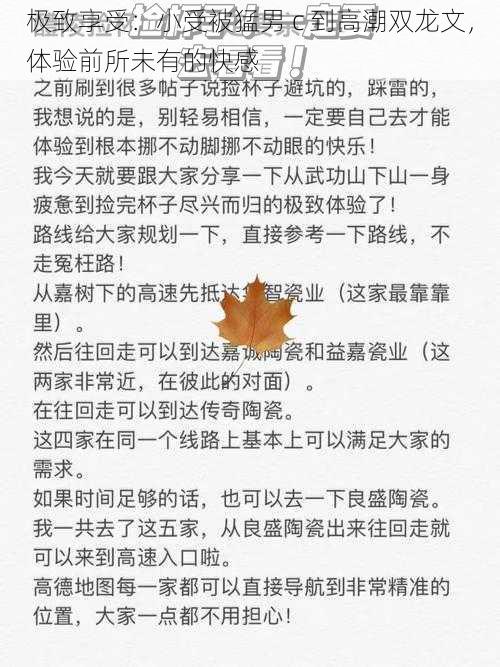 极致享受：小受被猛男 c 到高潮双龙文，体验前所未有的快感