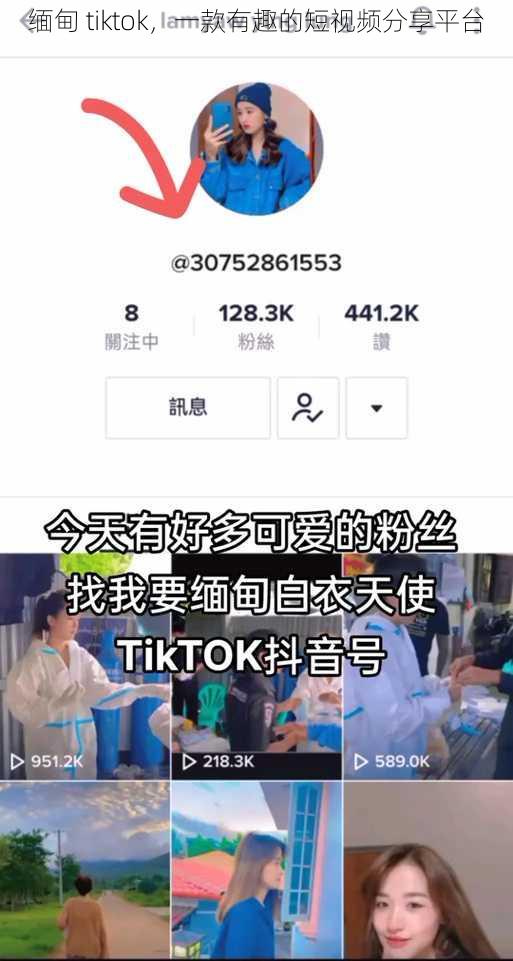 缅甸 tiktok，一款有趣的短视频分享平台