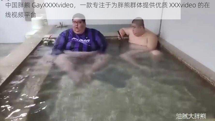 中国胖熊 GayXXXXvideo，一款专注于为胖熊群体提供优质 XXXvideo 的在线视频平台