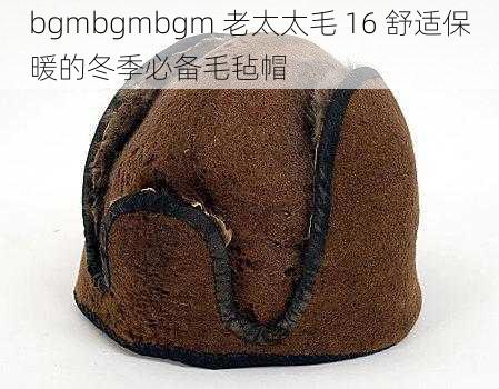 bgmbgmbgm 老太太毛 16 舒适保暖的冬季必备毛毡帽