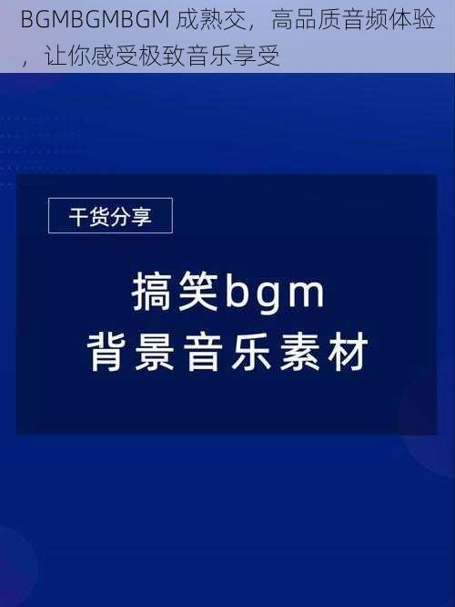 BGMBGMBGM 成熟交，高品质音频体验，让你感受极致音乐享受