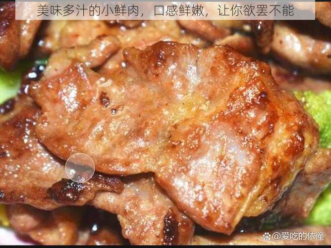 美味多汁的小鲜肉，口感鲜嫩，让你欲罢不能