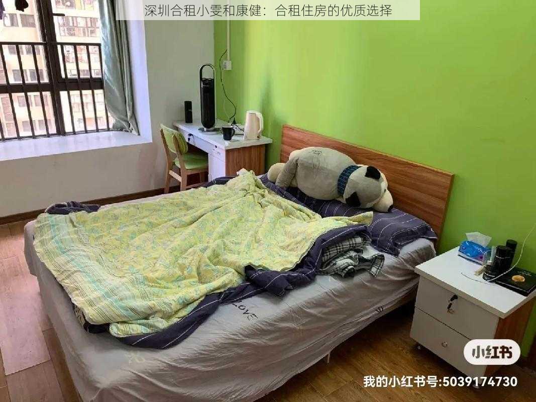 深圳合租小雯和康健：合租住房的优质选择