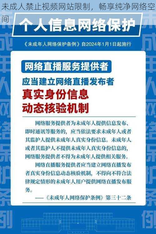 未成人禁止视频网站限制，畅享纯净网络空间