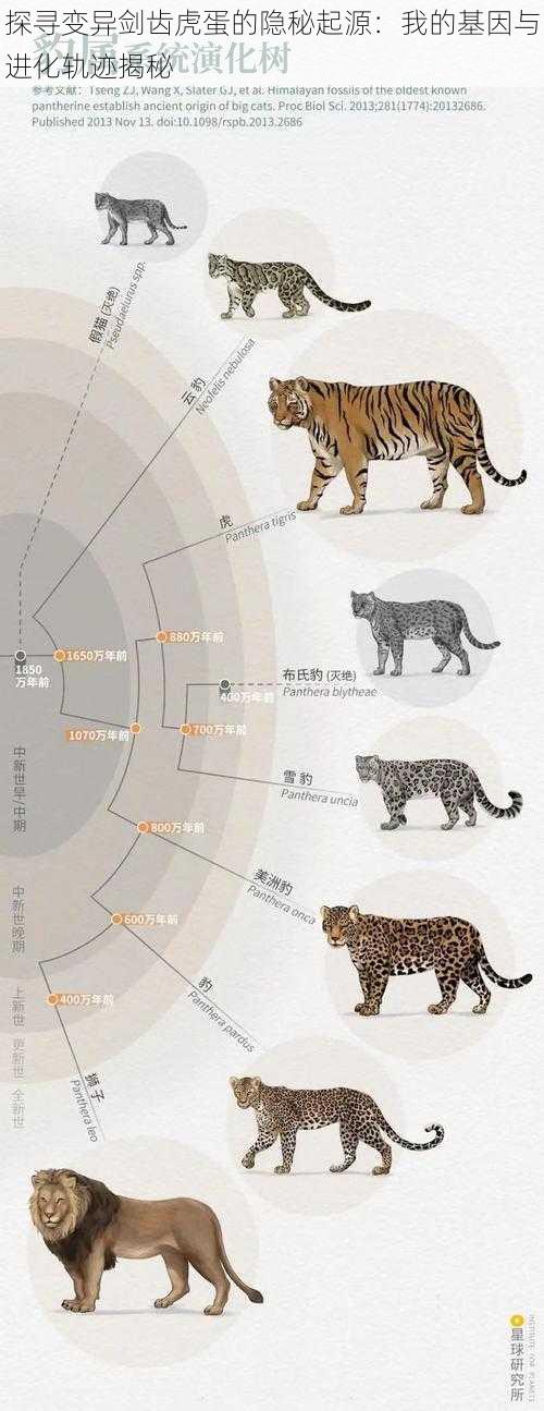 探寻变异剑齿虎蛋的隐秘起源：我的基因与进化轨迹揭秘