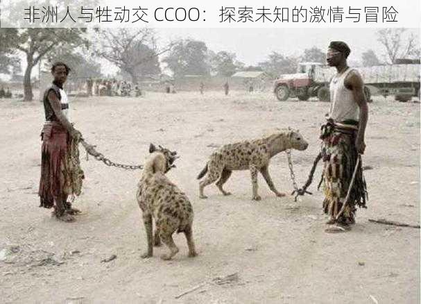 非洲人与牲动交 CCOO：探索未知的激情与冒险