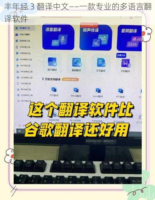 丰年经 3 翻译中文——一款专业的多语言翻译软件