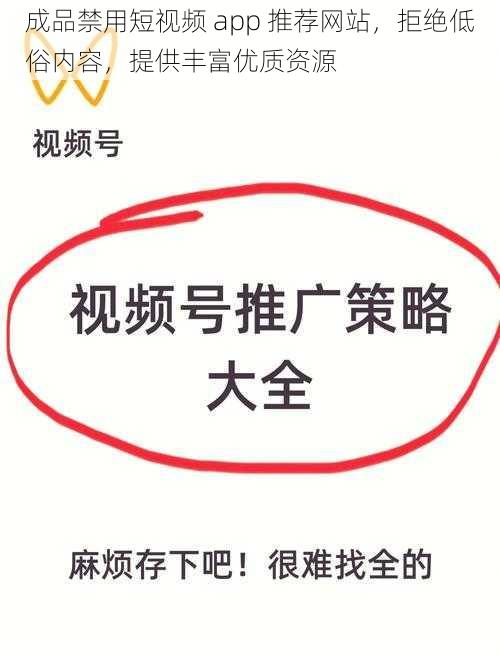 成品禁用短视频 app 推荐网站，拒绝低俗内容，提供丰富优质资源