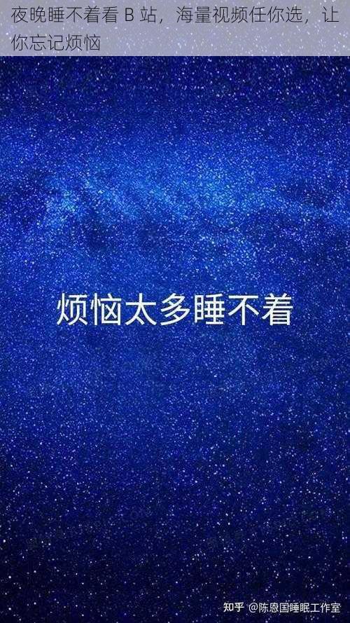 夜晚睡不着看 B 站，海量视频任你选，让你忘记烦恼