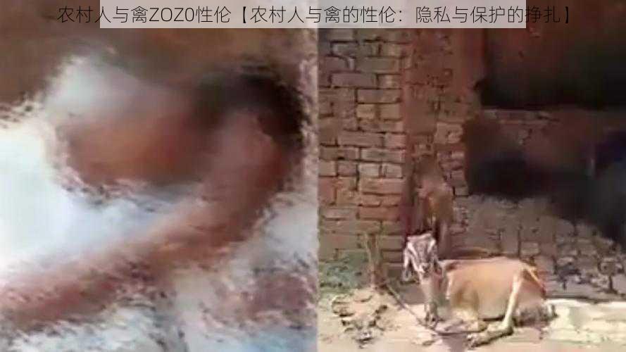 农村人与禽ZOZ0性伦【农村人与禽的性伦：隐私与保护的挣扎】