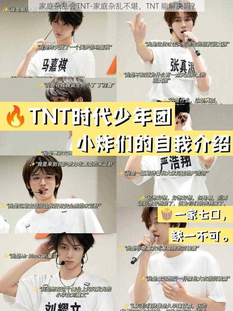 家庭杂乱会TNT-家庭杂乱不堪，TNT 能解决吗？