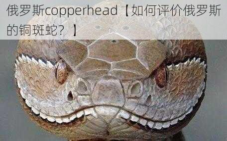 俄罗斯copperhead【如何评价俄罗斯的铜斑蛇？】