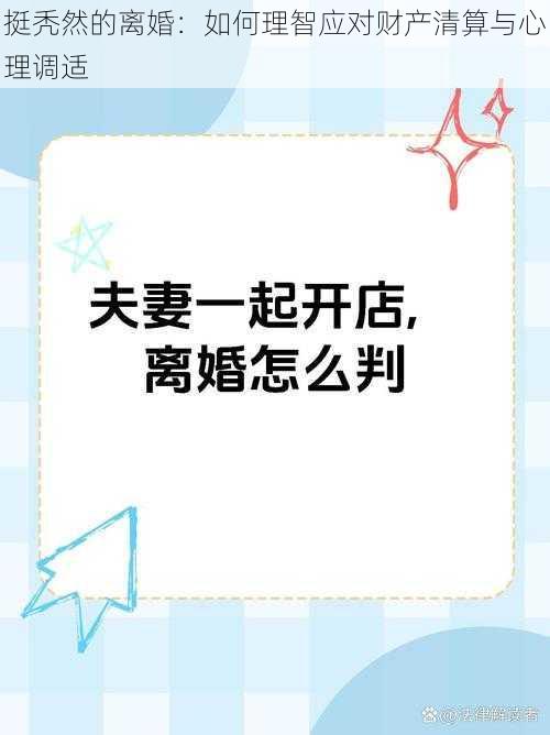 挺秃然的离婚：如何理智应对财产清算与心理调适