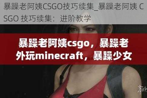 暴躁老阿姨CSGO技巧续集_暴躁老阿姨 CSGO 技巧续集：进阶教学