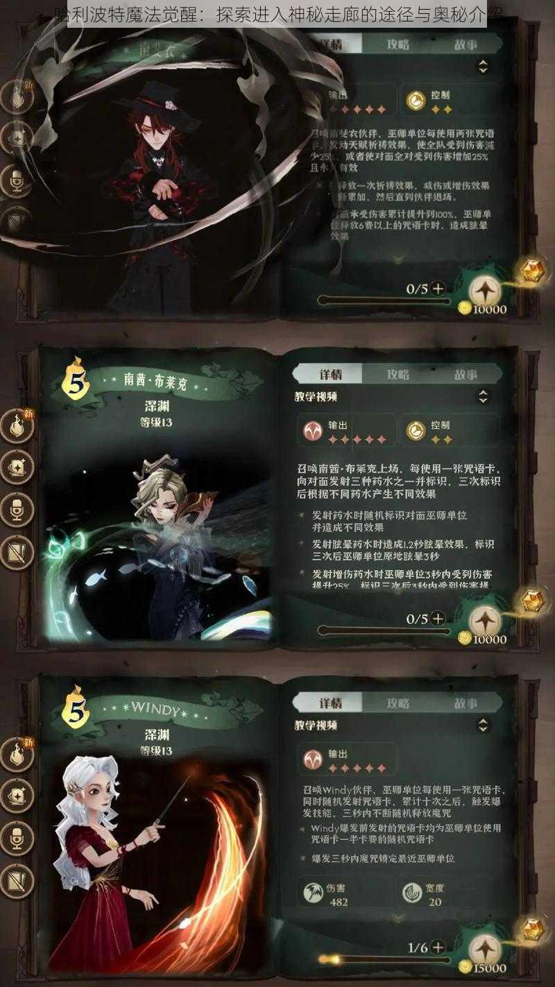 哈利波特魔法觉醒：探索进入神秘走廊的途径与奥秘介绍